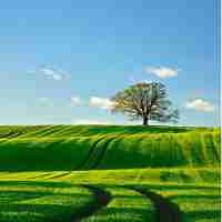 seo软‍件‍推‍荐‍